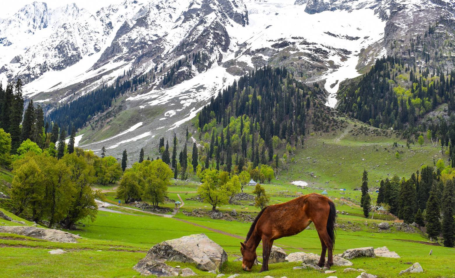 kashmir tourism best of kashmir